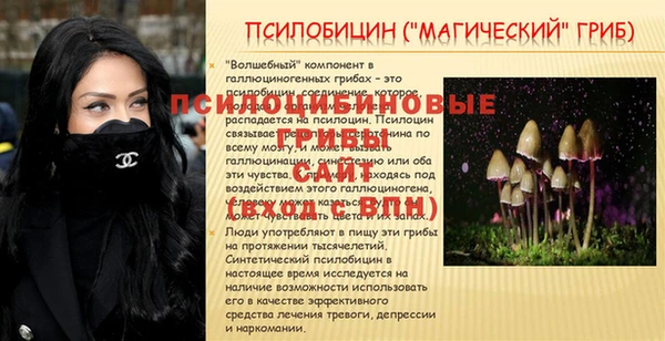 мескалин Гусев